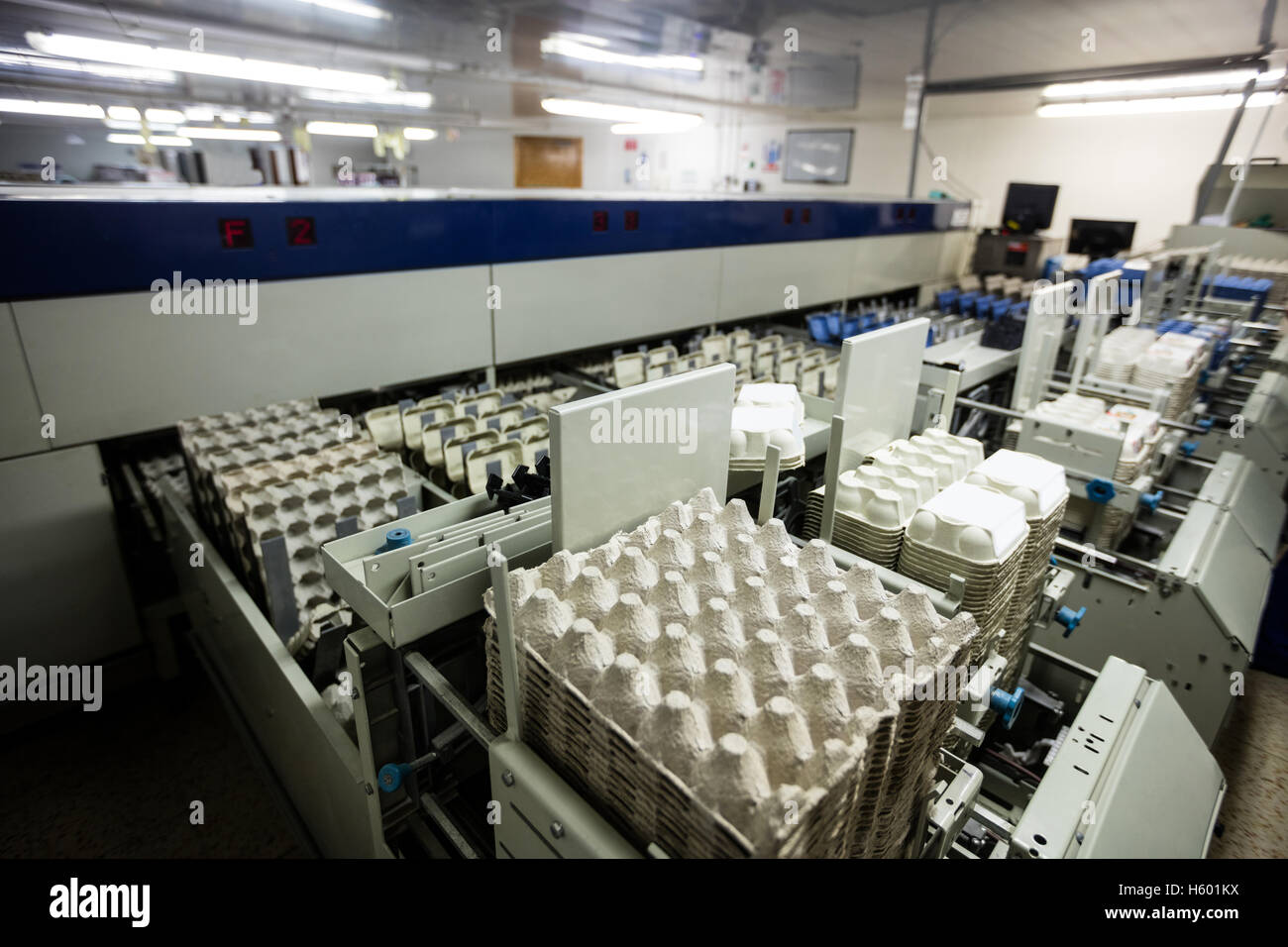 Egg cartons arranged in factory Stock Photo Alamy