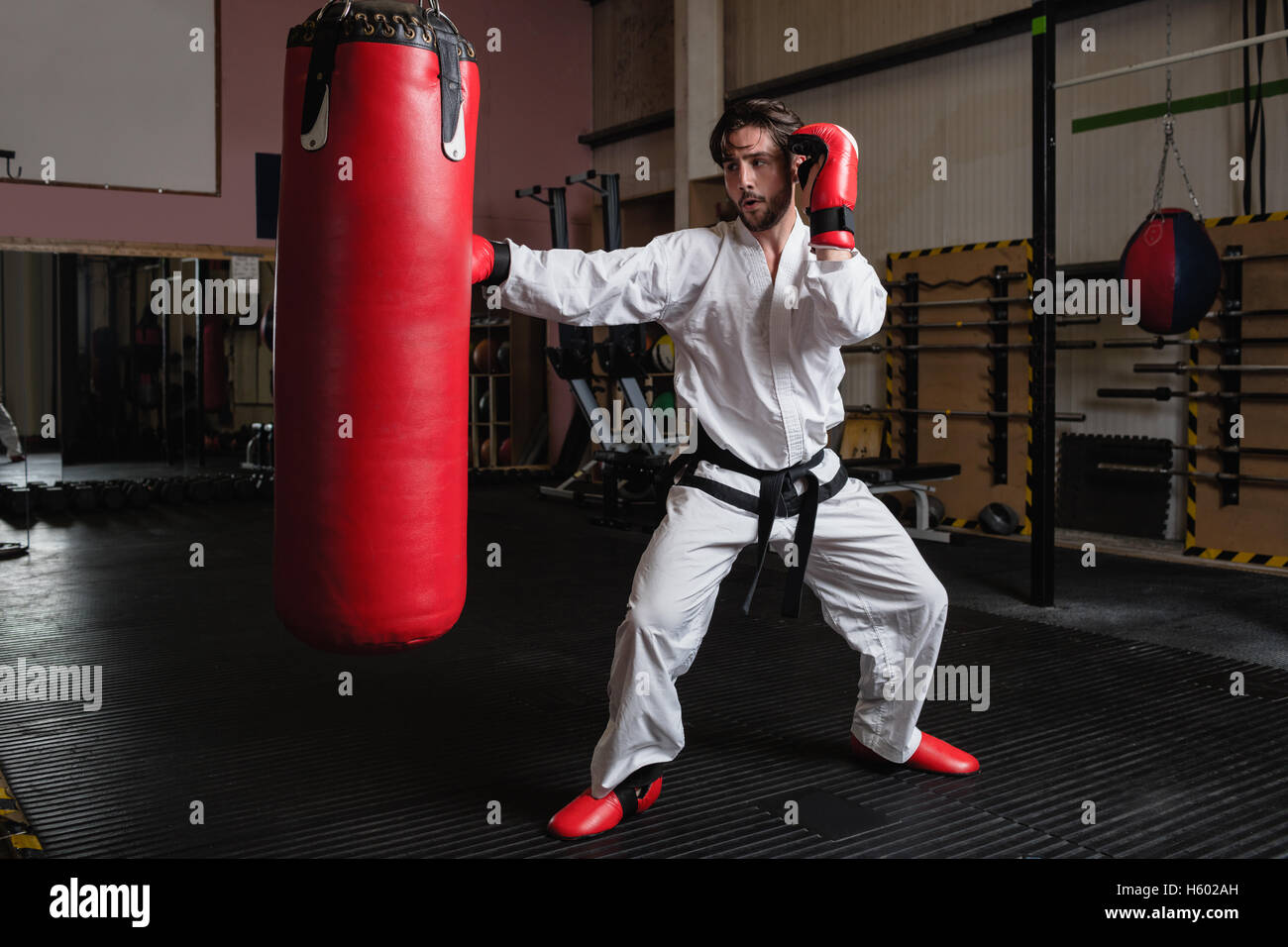 Man practicing karate with punching bag Stock Photo Alamy