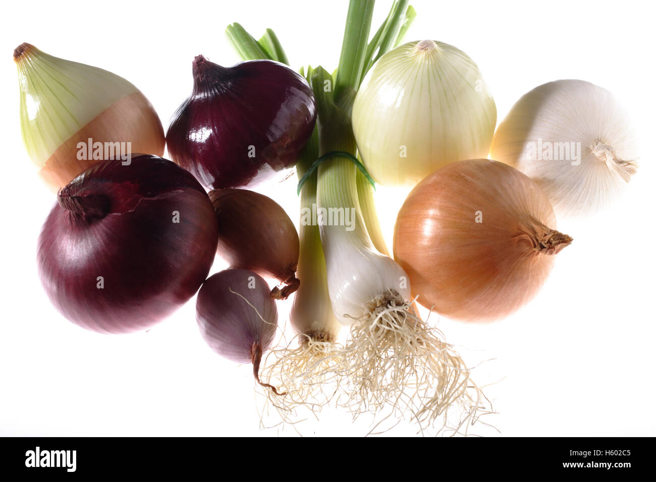 Red Onions (Allium cepa), White Onions (Allium cepa), Spring Onions (Allium fistulosum), shallots Stock Photo