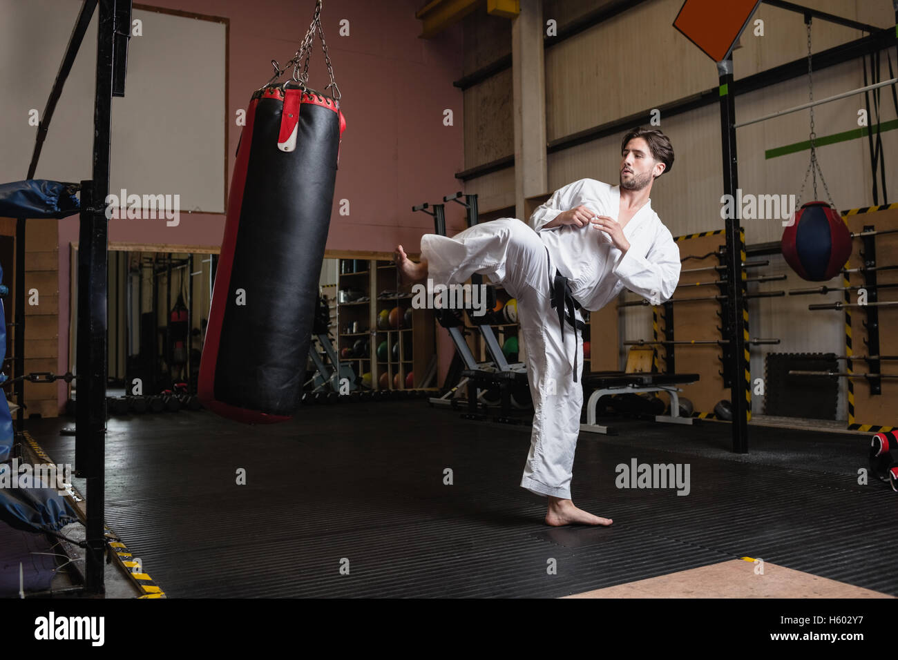Man practicing karate with punching bag Stock Photo Alamy