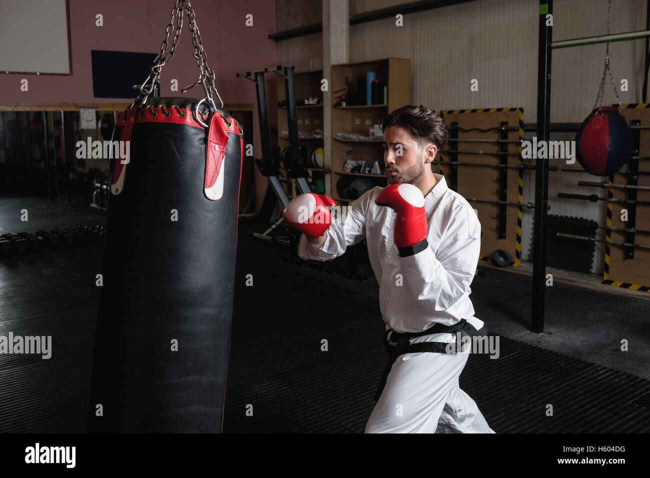 Man practicing karate with punching bag Stock Photo Alamy