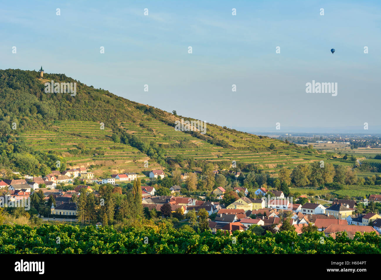 Langenlois: view from Kogelberg to valley Kamptal, vineyards, observation tower Kamptalwarte, village Zöbing, hot-air balloon, W Stock Photo