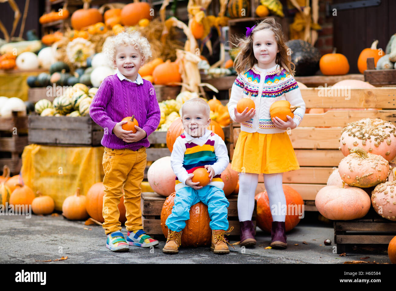 Group of children enjoying harvest festival celebration at pumpkin patch. Kids picking and carving pumpkins at country farm Stock Photo