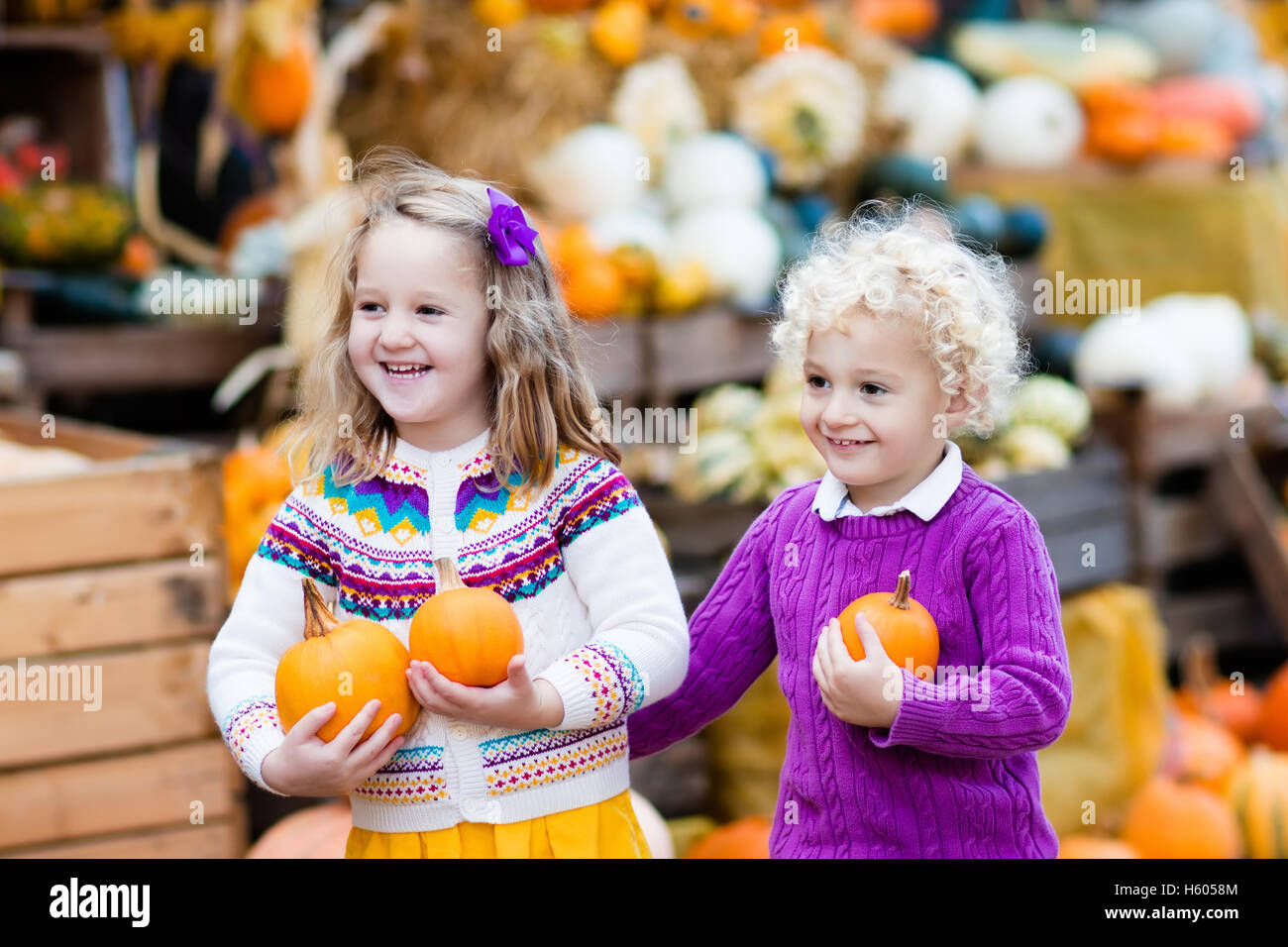 Group of children enjoying harvest festival celebration at pumpkin patch. Kids picking and carving pumpkins at country farm Stock Photo