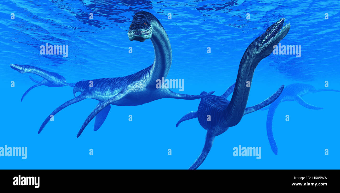 Plesiosaurus marine reptile dinosaurs swim together in Jurassic Seas to