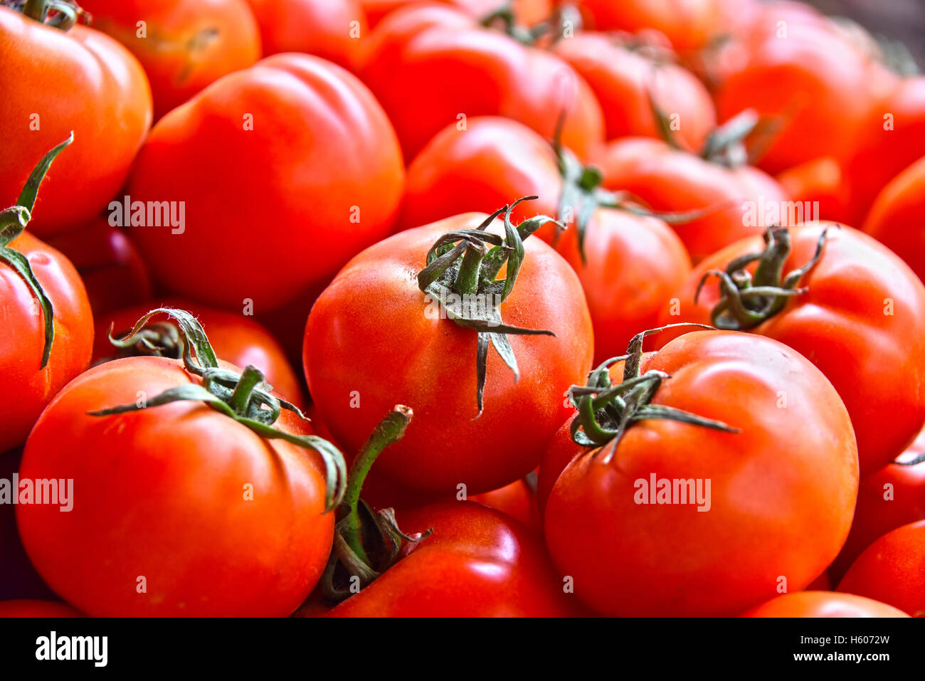 Fresh organic tomatoes on street market stall Stock Photo - Alamy