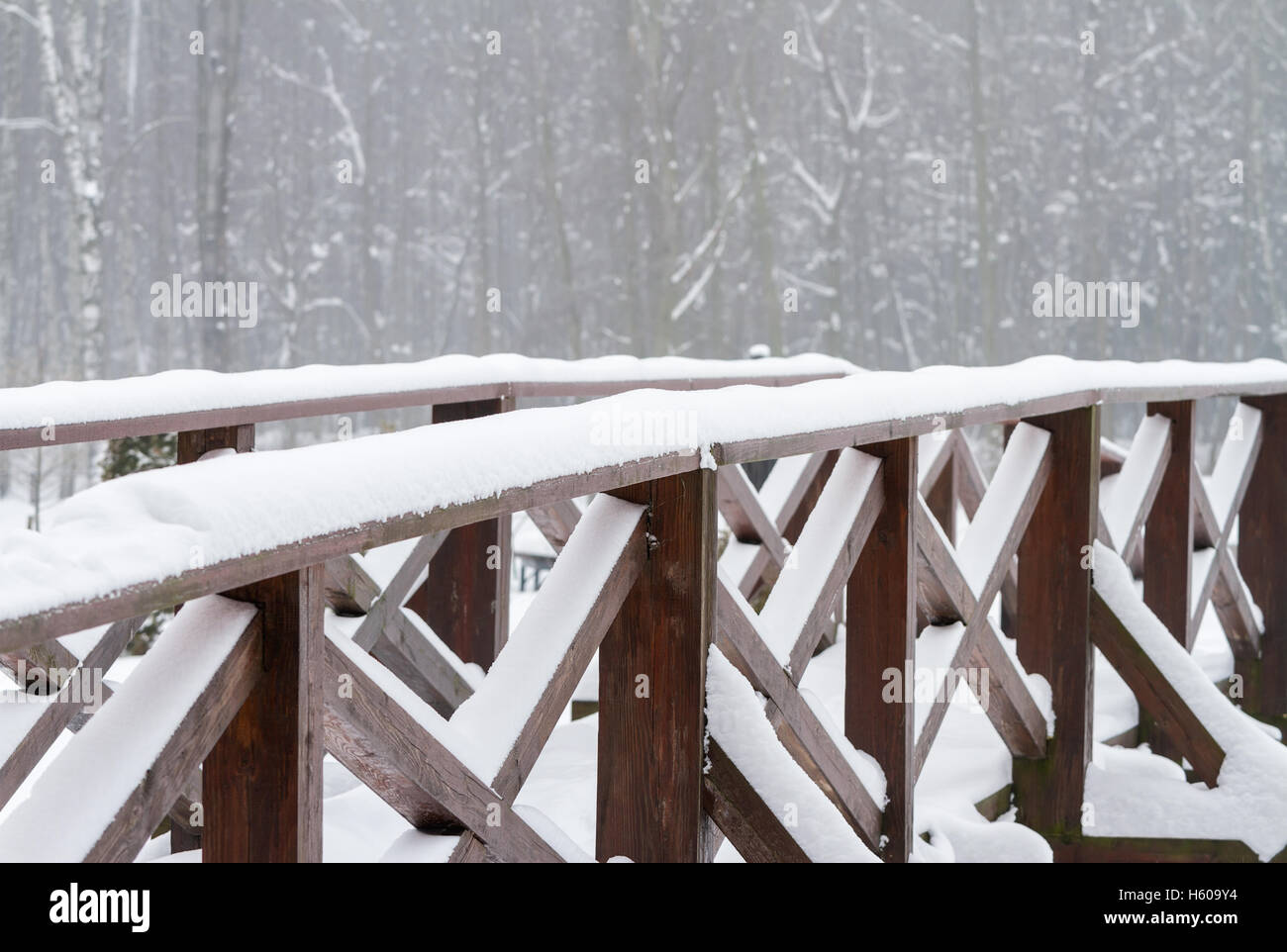 Winter scene with bridge in the forest Stock Photo - Alamy