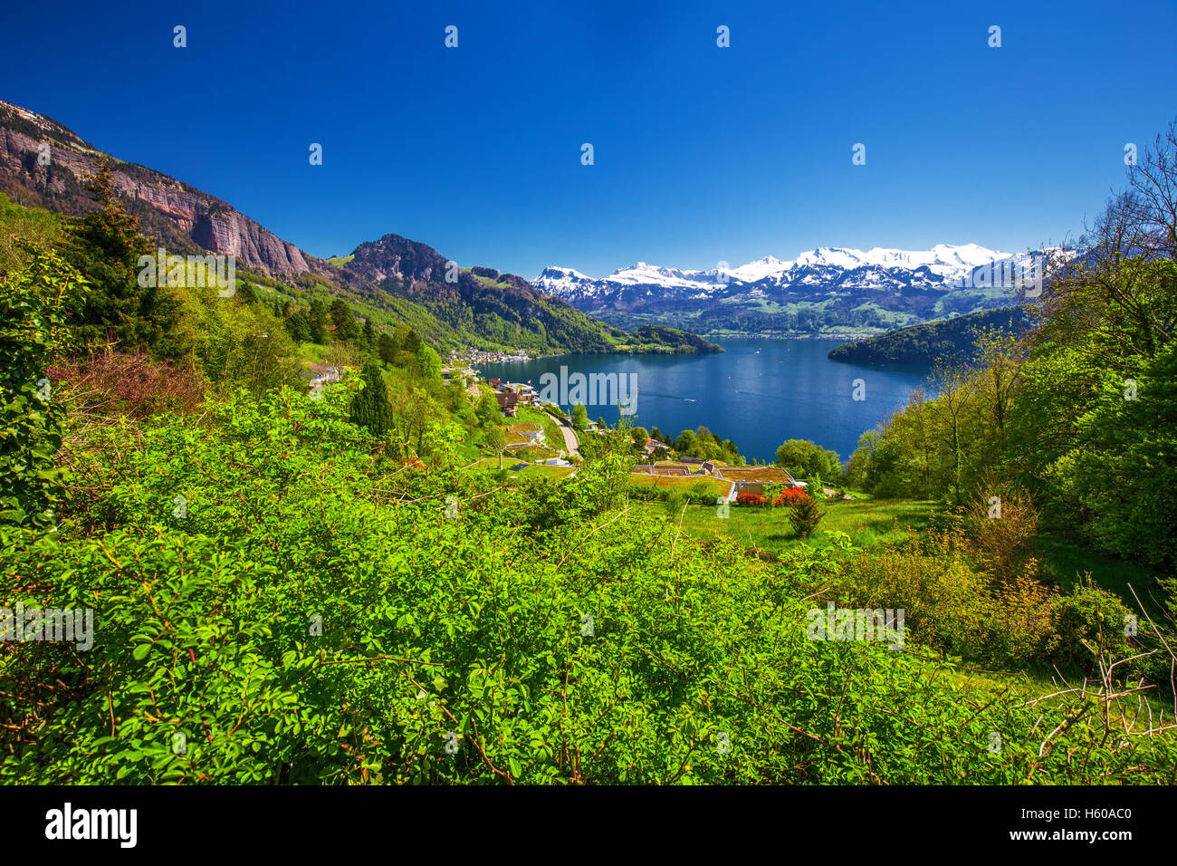 Panorama view to village Vitznau, lake Lucerne (Vierwaldstattersee) and Swiss Alps near Luzern city, Switzerland Stock Photo