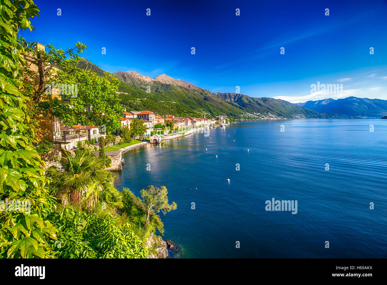 Sunrise in Cannero riviera village, Lago Maggiore, Verbania, Piedmont, Italy Stock Photo