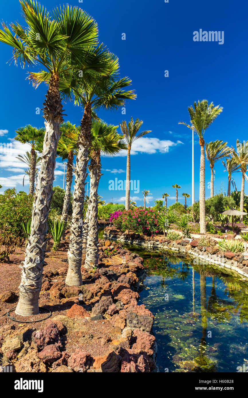 Beautiful view to tropical island resort garden with palm trees, flowers and river on Fuerteventura, Canary Island. Stock Photo