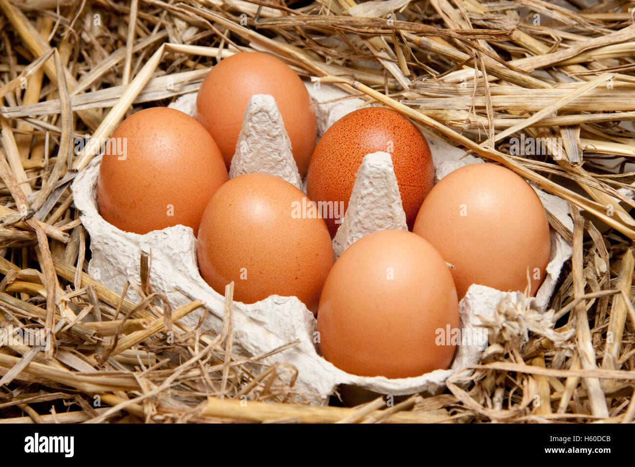 brown organic eggs in a box on straw Stock Photo - Alamy