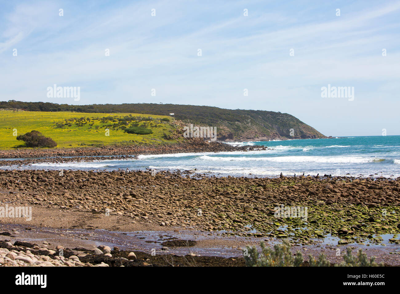 Stokes bay on the north coast of Kangaroo island,South australia Stock Photo