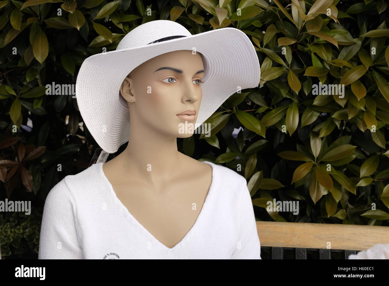 Mannequin wearing a hat Stock Photo Alamy