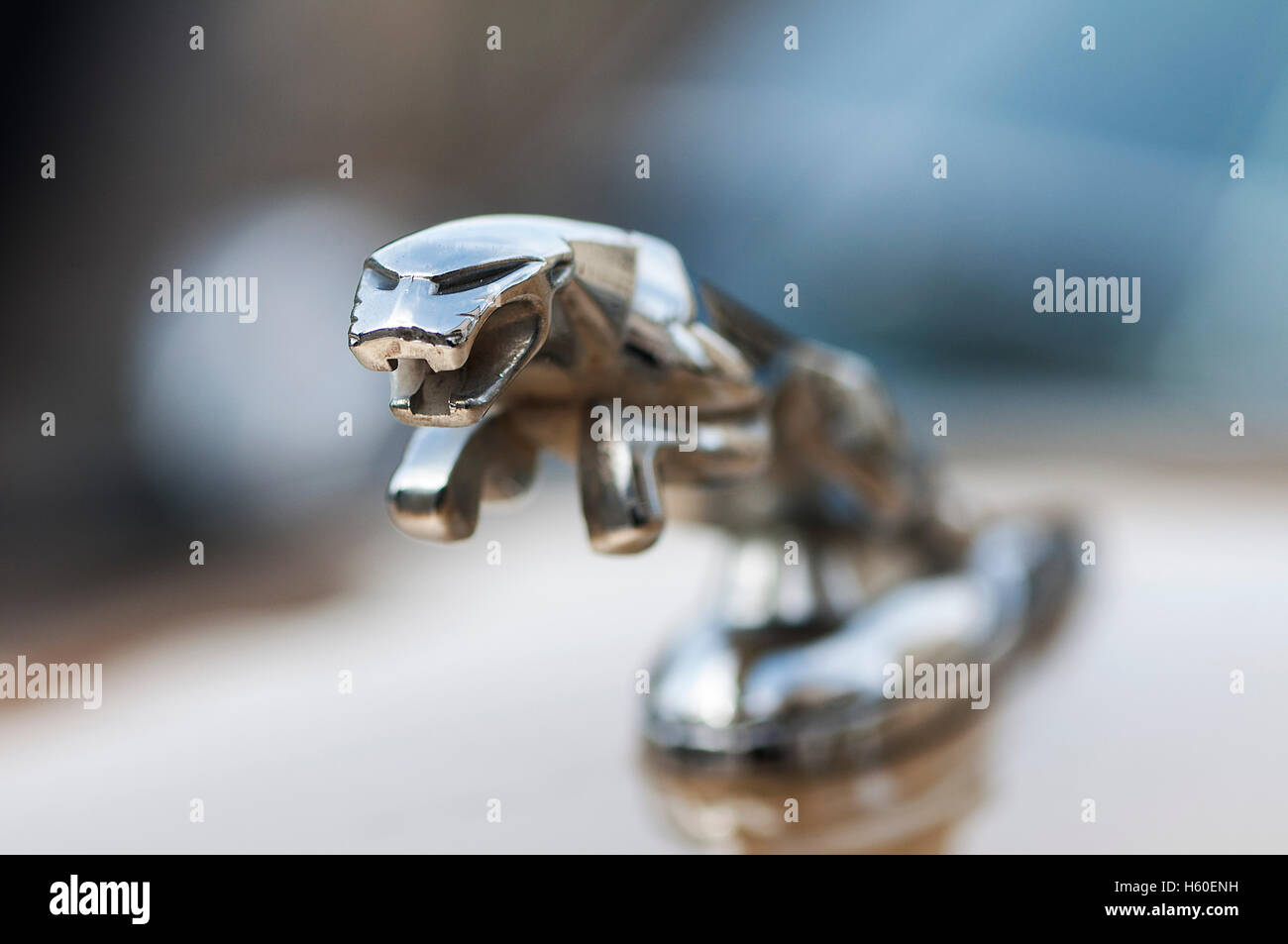 Jaguar car emblem hi-res stock photography and images - Alamy