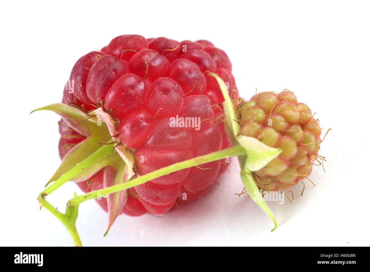 R Shaped Raspberry red raspberry closeup and isolated Stock Photo - Alamy