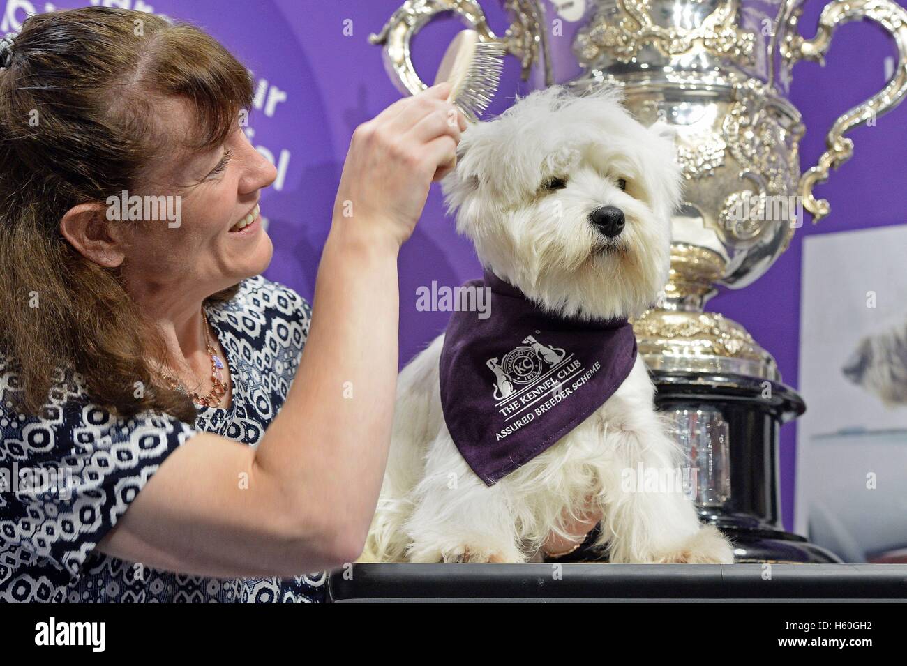 Best in on sale show crufts 2016