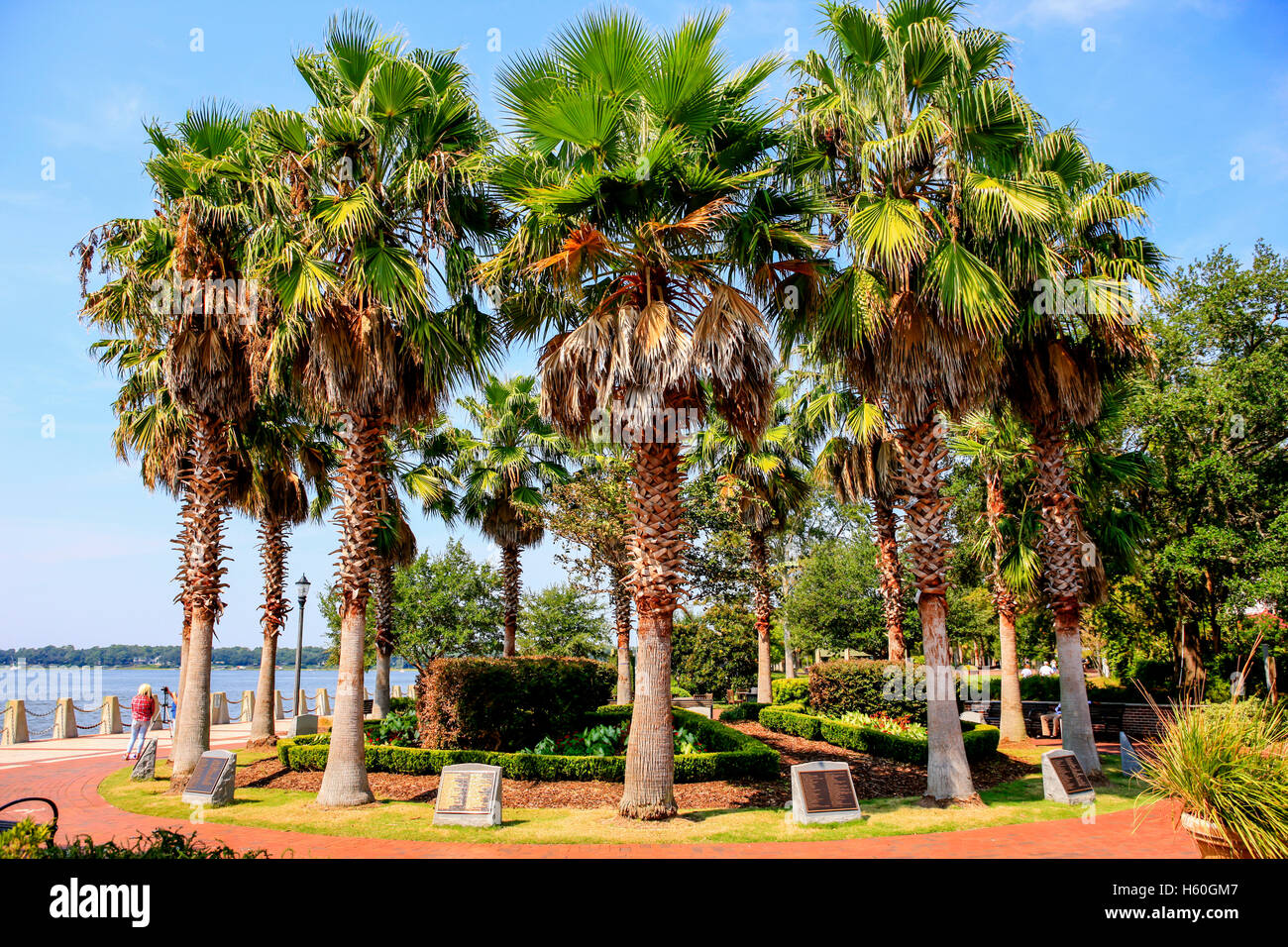 Henry C. Chamber Waterfront Park in Beaufort, SC Stock Photo Alamy