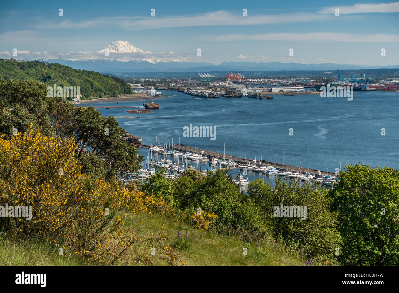 Majestic Mount Rainier towers over the Port of Tacoma Stock Photo - Alamy
