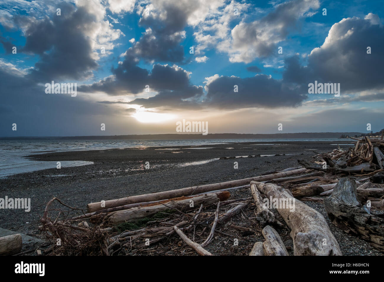 Light breaks through storm clouds onto a Puget Sound shoreline at low tide. Stock Photo