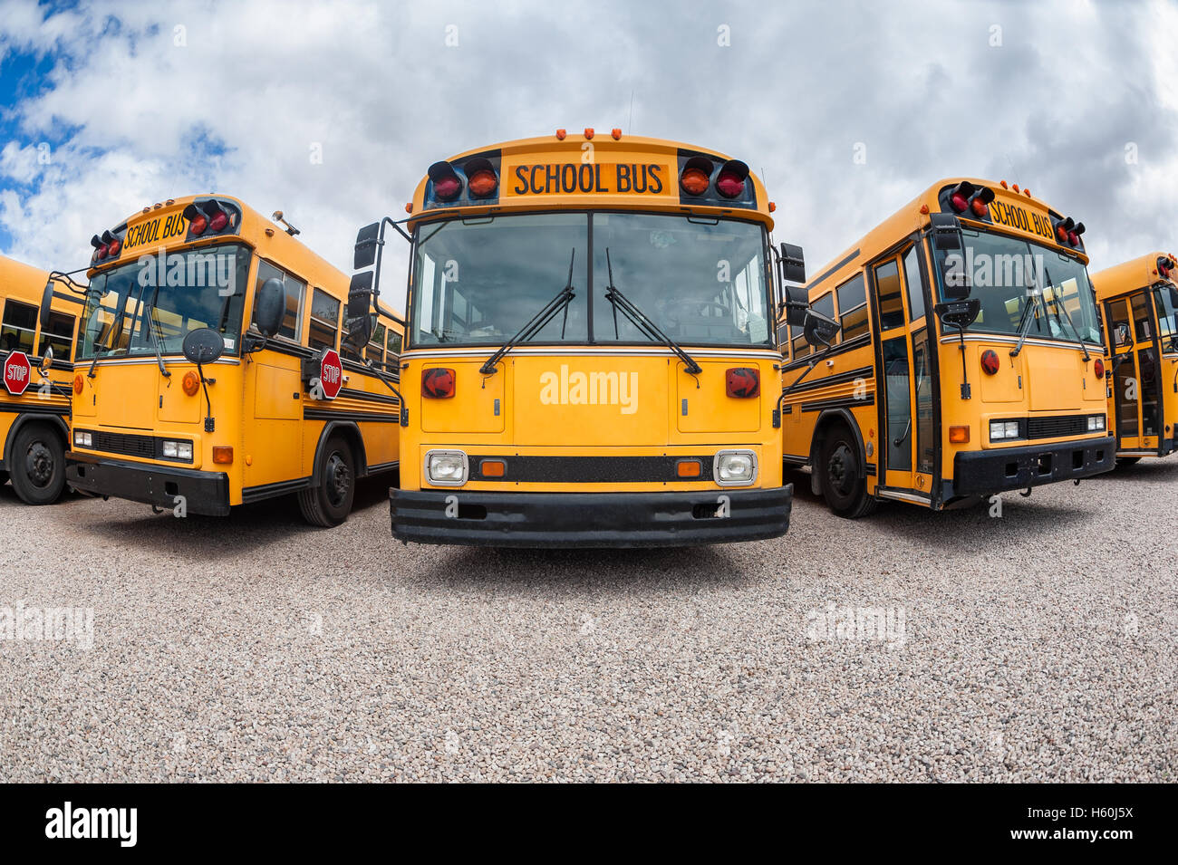 American School Buses Stock Photo