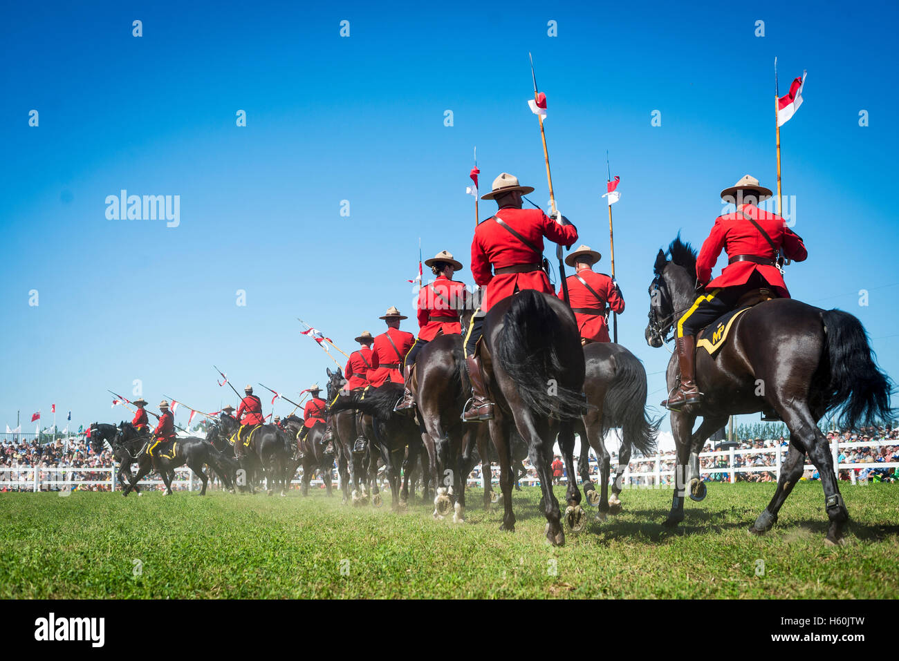 Group of RCMP mounties during a musical ride ceremony Stock Photo