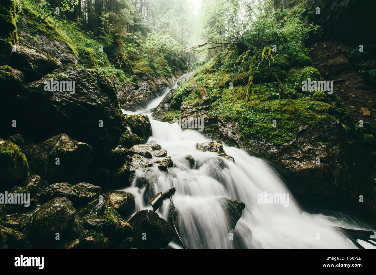 natural waterfall on stream in green forest Stock Photo