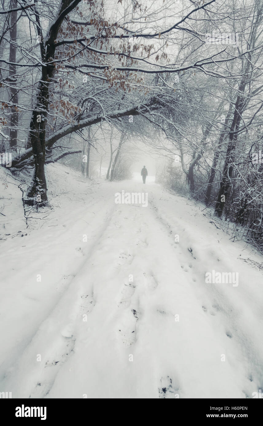 man walking on snowy path in winter natural landscape Stock Photo