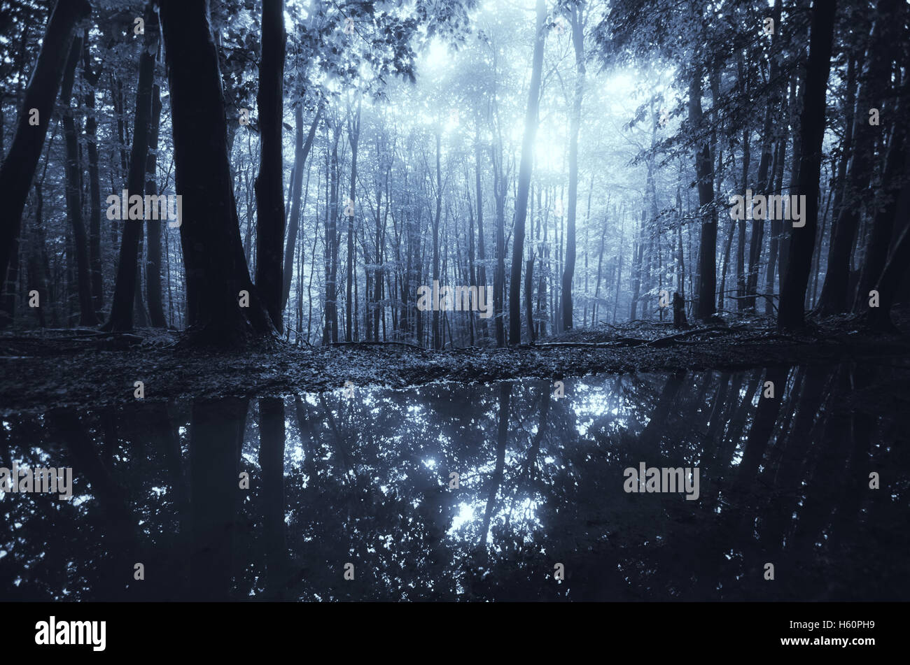 Dark forest reflecting in water Stock Photo