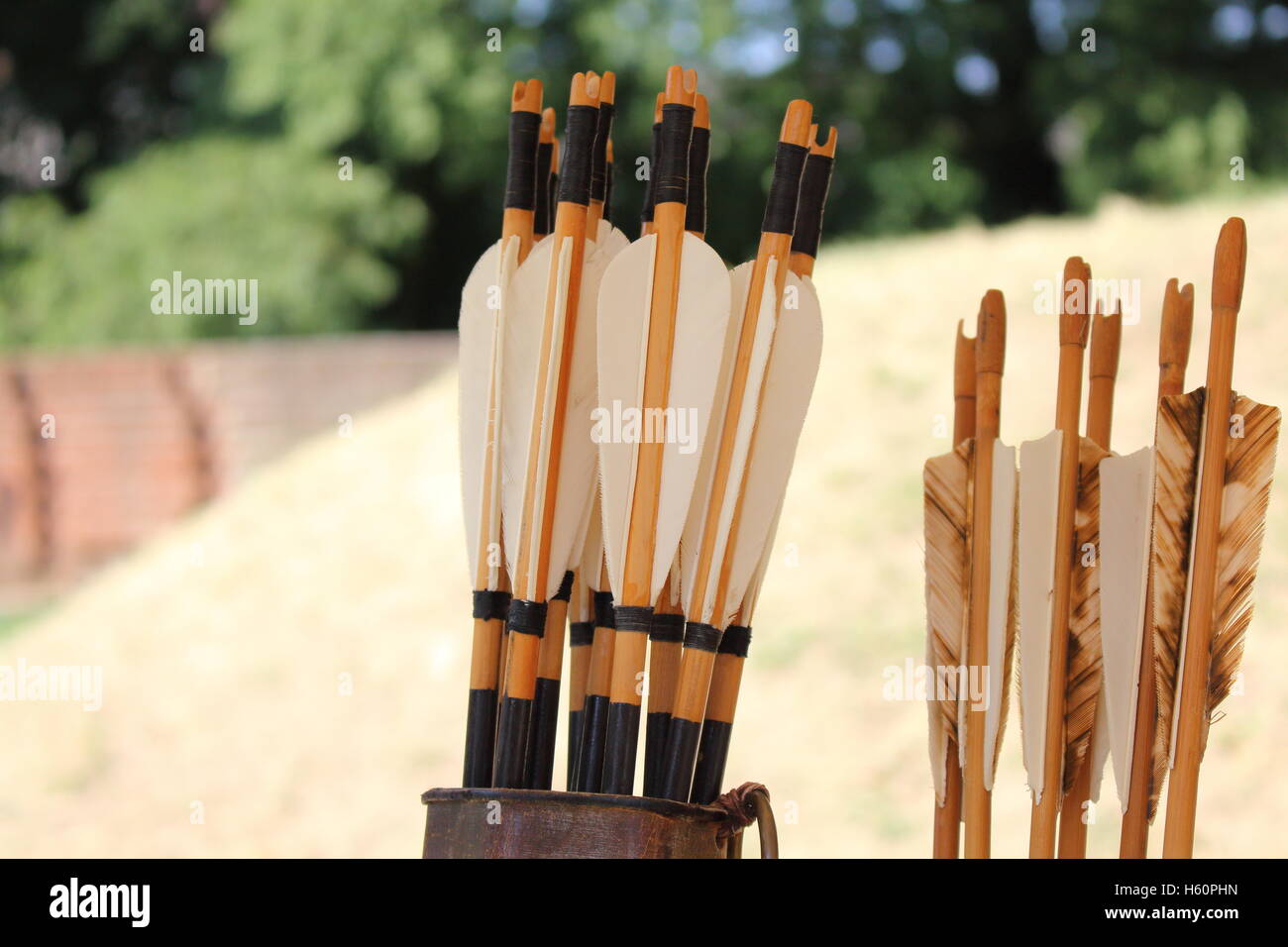 Colored feathers for arrows in a quiver Stock Photo Alamy
