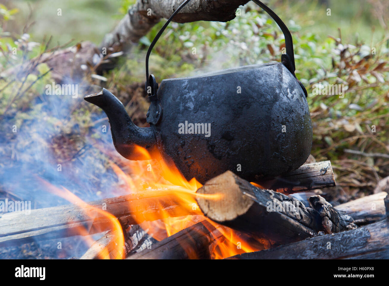 Blackened tin kettle from soot boiling water over flames from campfire during hike in forest Stock Photo
