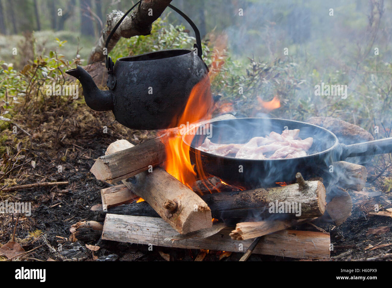 Blackened tin kettle boiling water and pan cooking bacon over flames from campfire during hike in forest Stock Photo