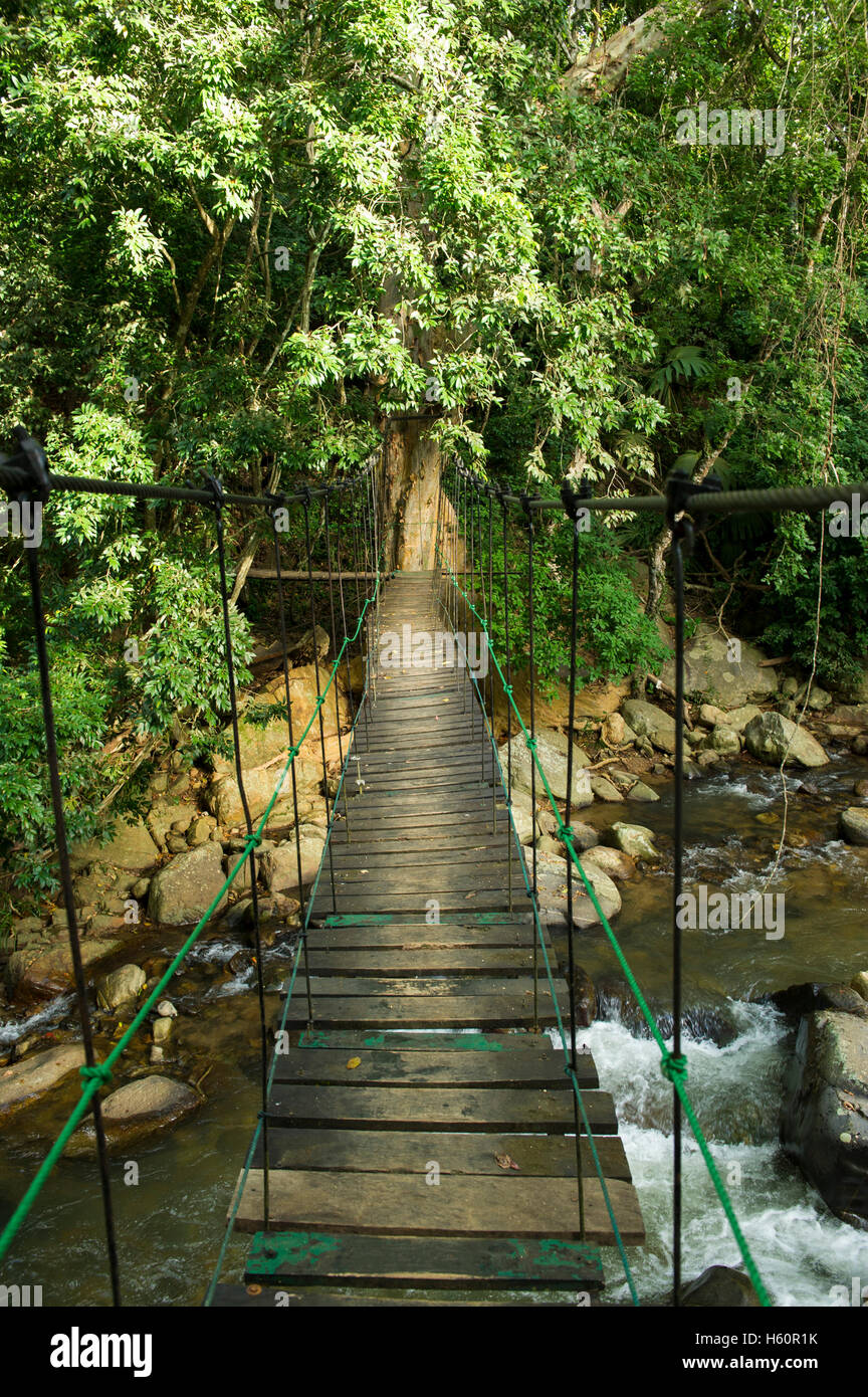 Walkway over the Kirindi Oya River in Ella Junge Resort, Ella, Sri Lanka Stock Photo