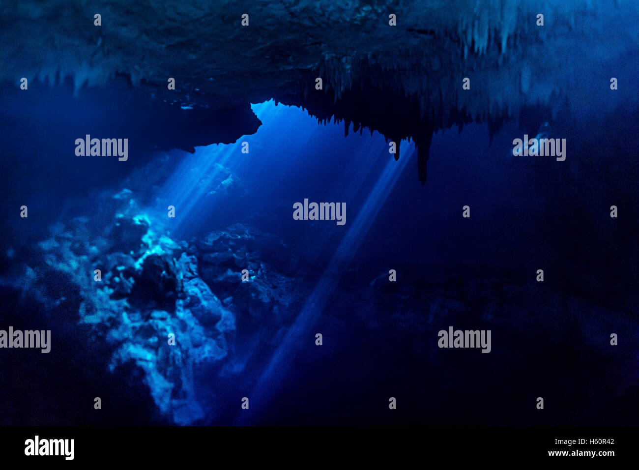 cenote diver cavern tulum mexico dive Stock Photo Alamy