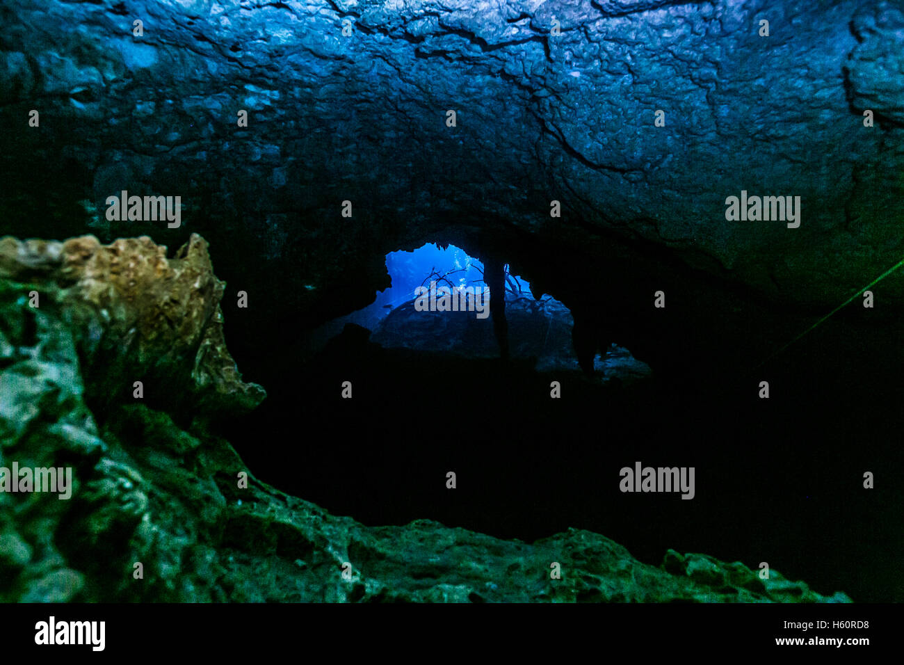cenote tulum mexico cavern dive underwater Stock Photo