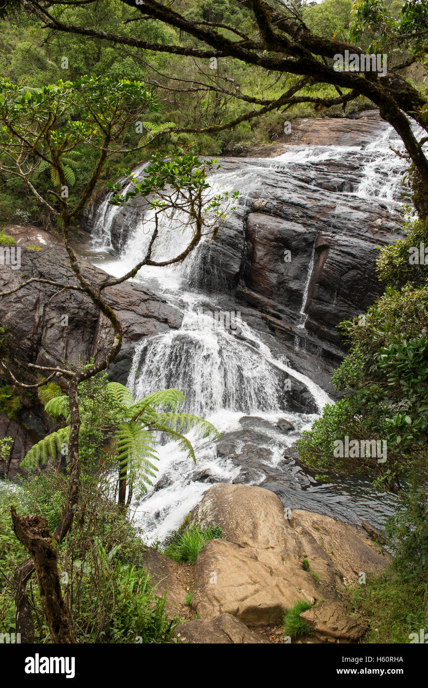 Baker's Falls, Horton Plains National Park, Sri Lanka Stock Photo