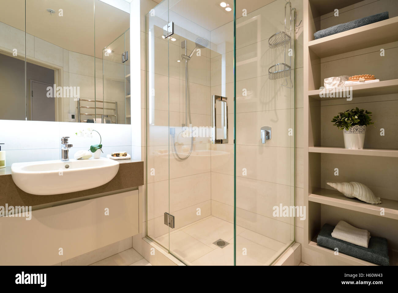 Modern Bathroom with shower and basin Stock Photo - Alamy