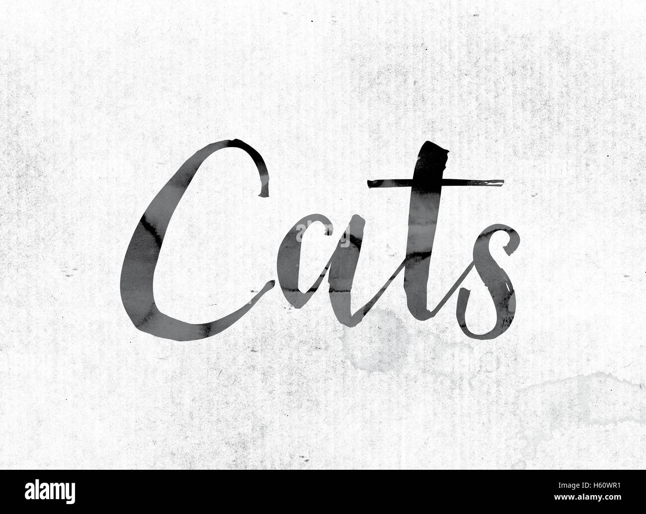 The word "Cats" concept and theme painted in watercolor ink on a white ...