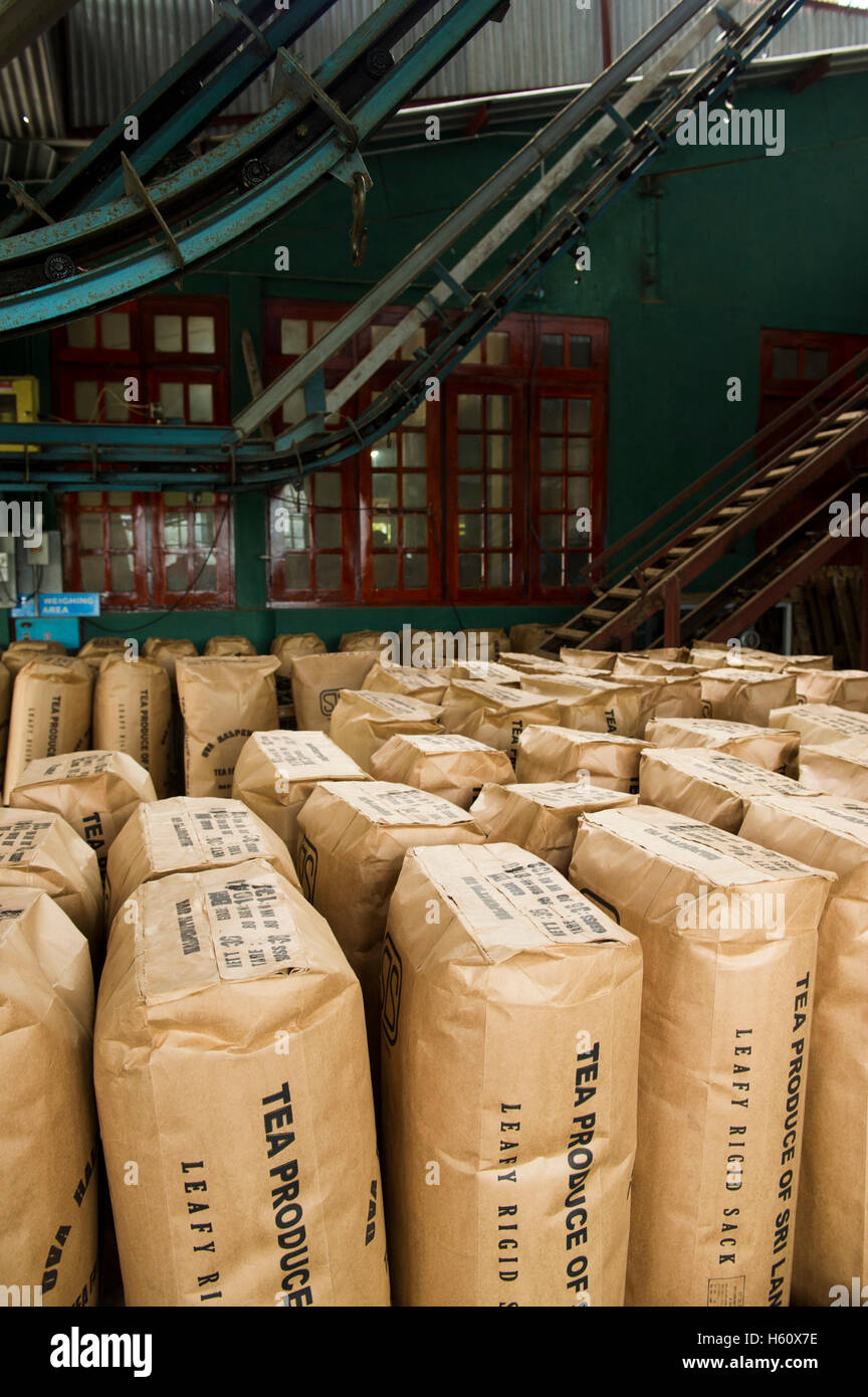 Halpewatte tea factory hires stock photography and images Alamy
