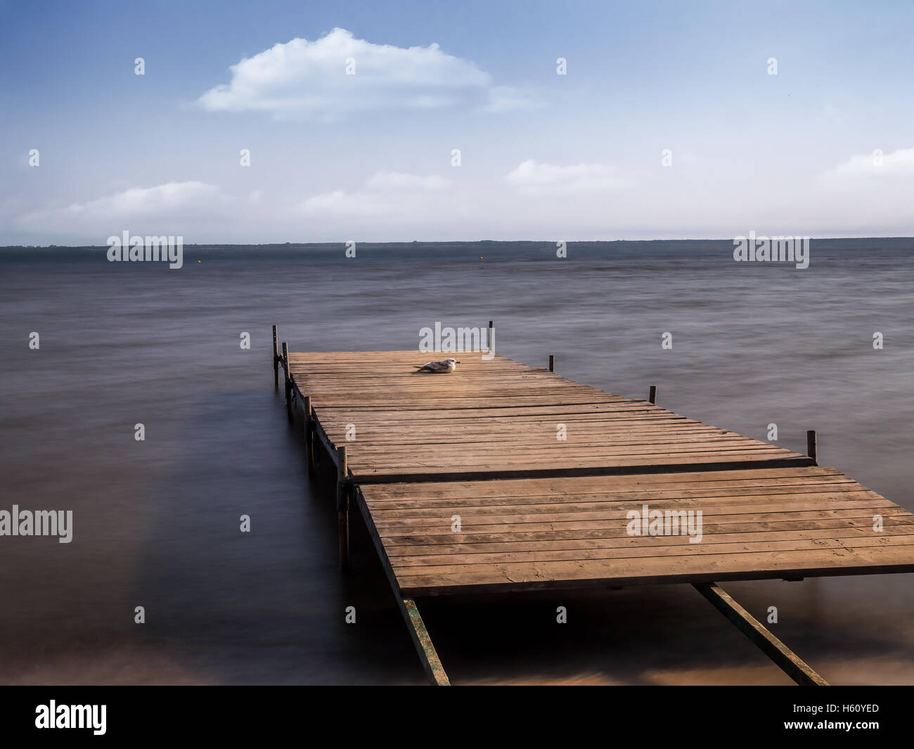 Old wooden jetty with seagull with view to the sea Stock Photo