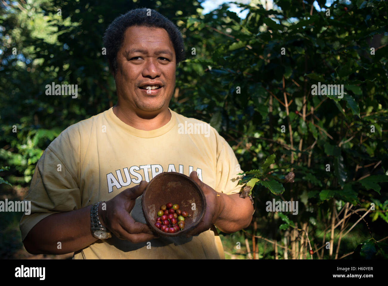 Atiu Island. Cook Island. Polynesia. South Pacific Ocean. One of the growers teaches coffee beans grown on the island of Polynes Stock Photo