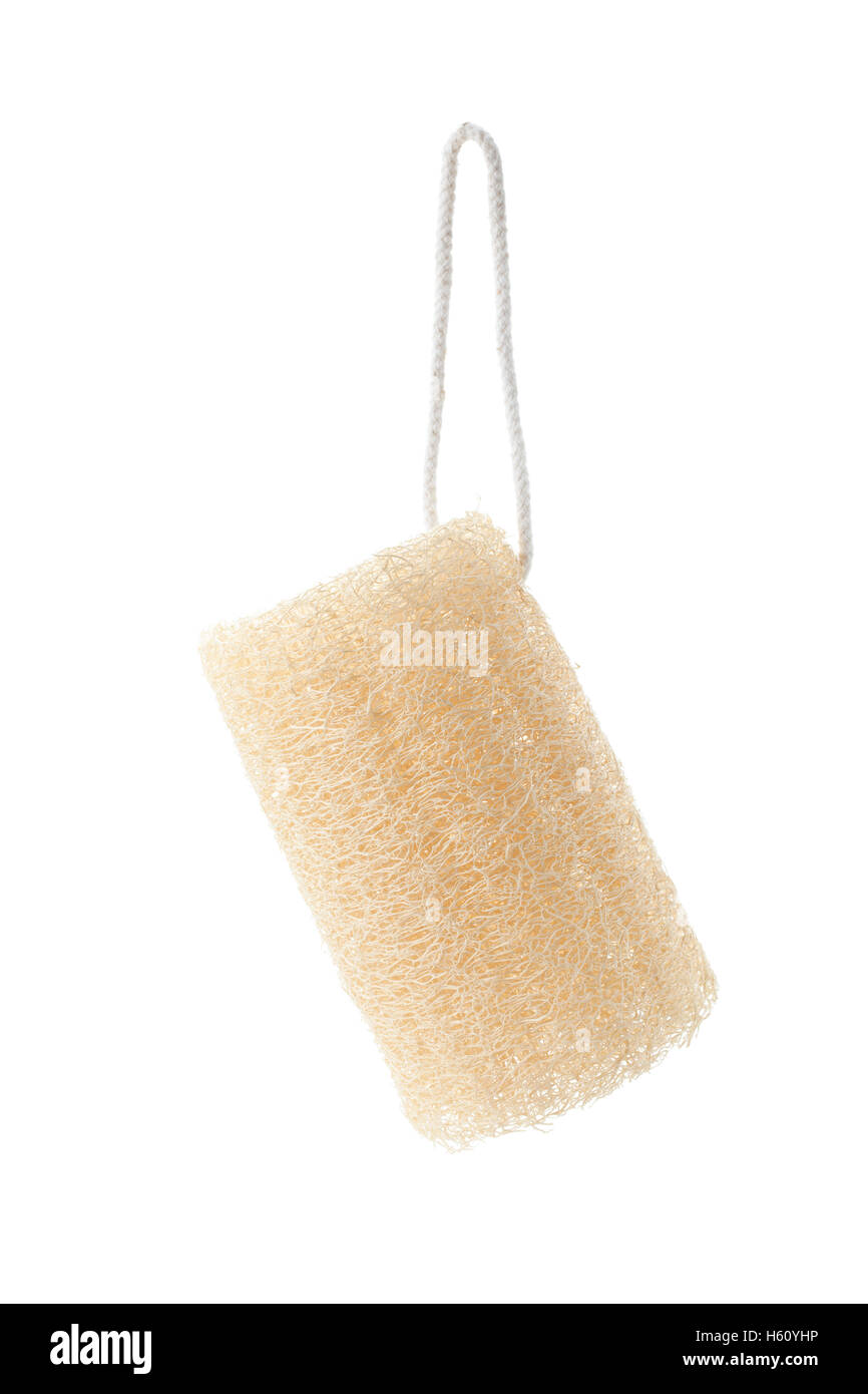 loofah natural sponge for body remove dirt and dead skin isolated on