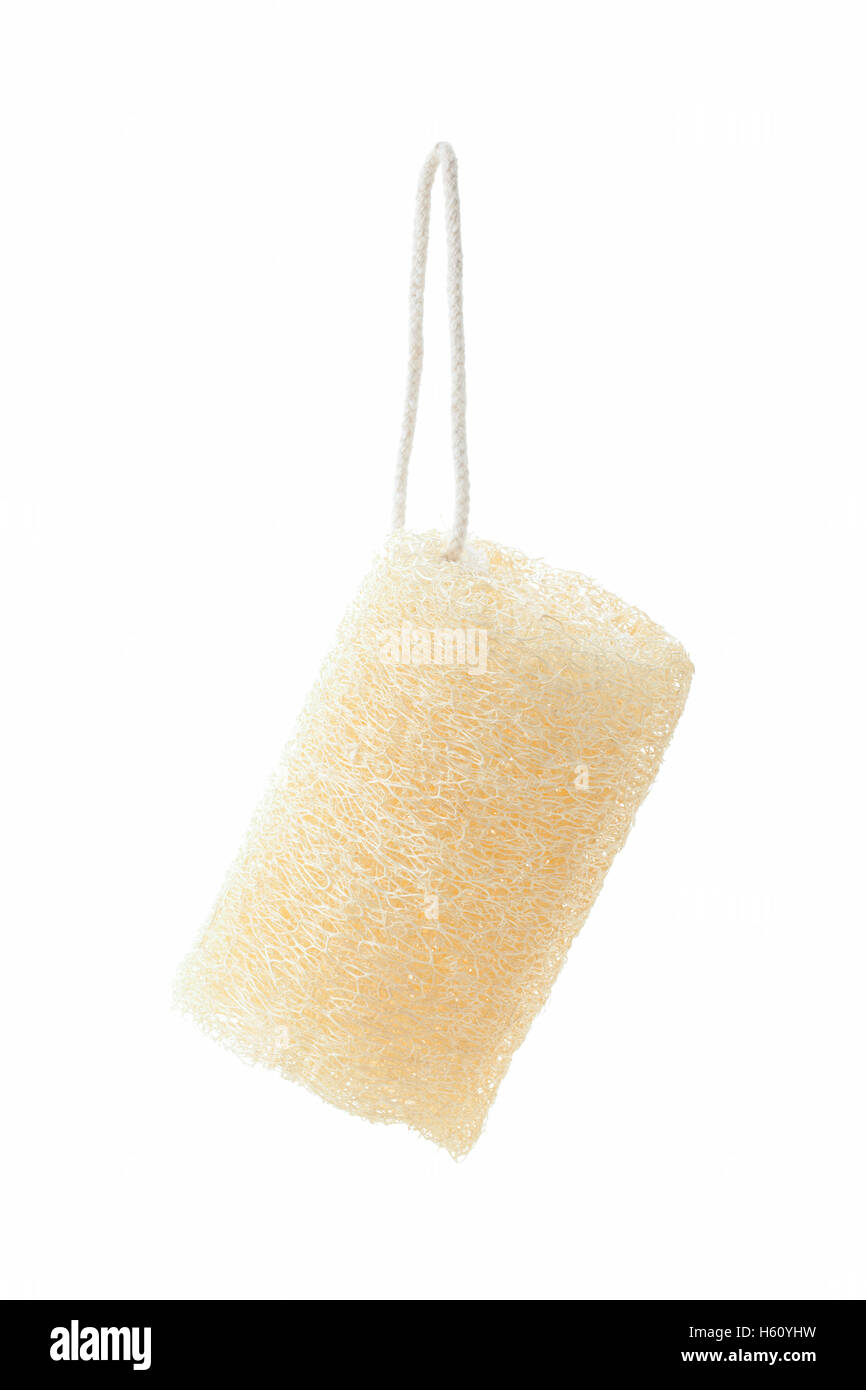 loofah natural sponge for body remove dirt and dead skin isolated on
