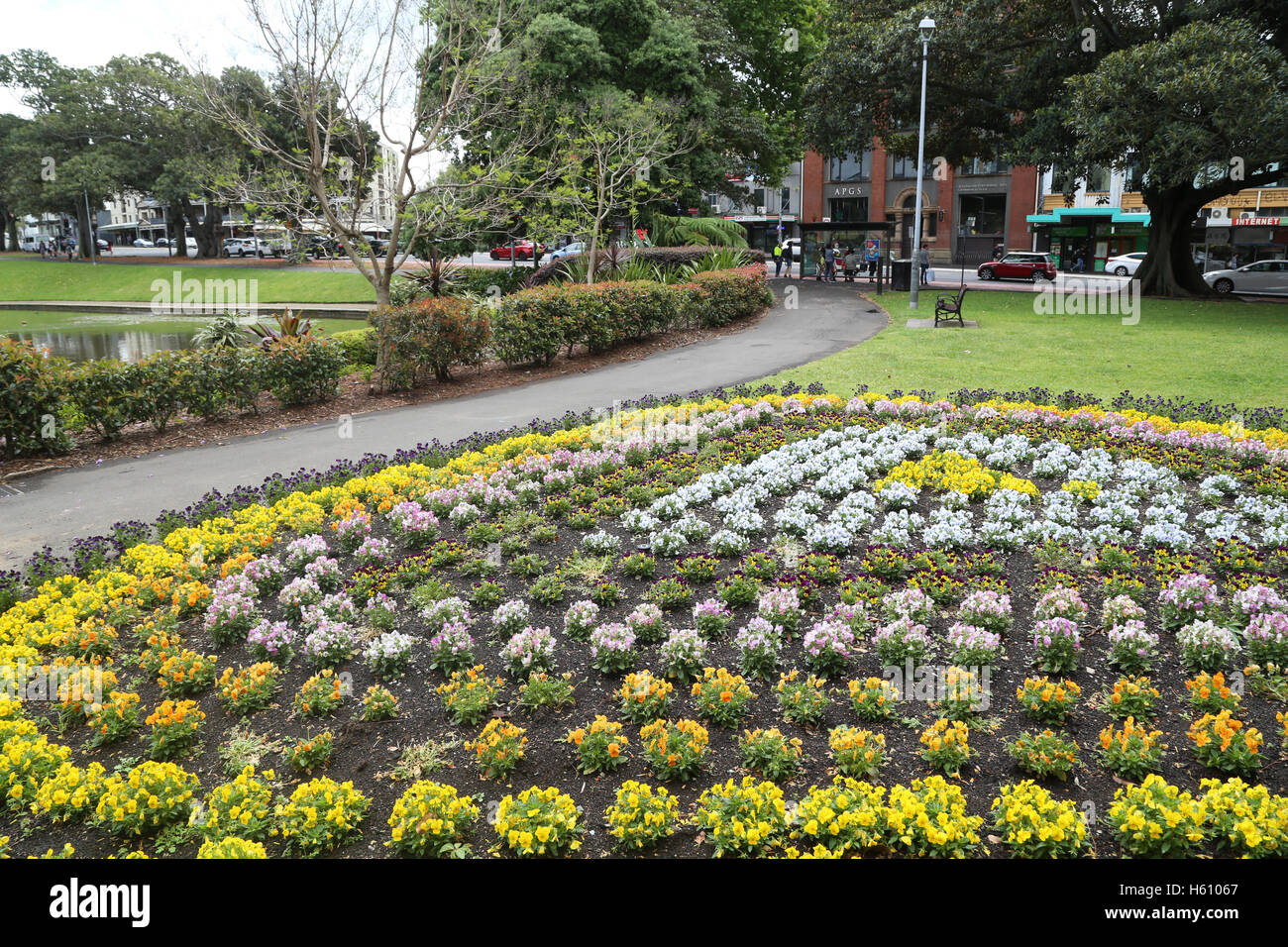 Flowers in Victoria Park, Camperdown in Sydney during Spring Stock