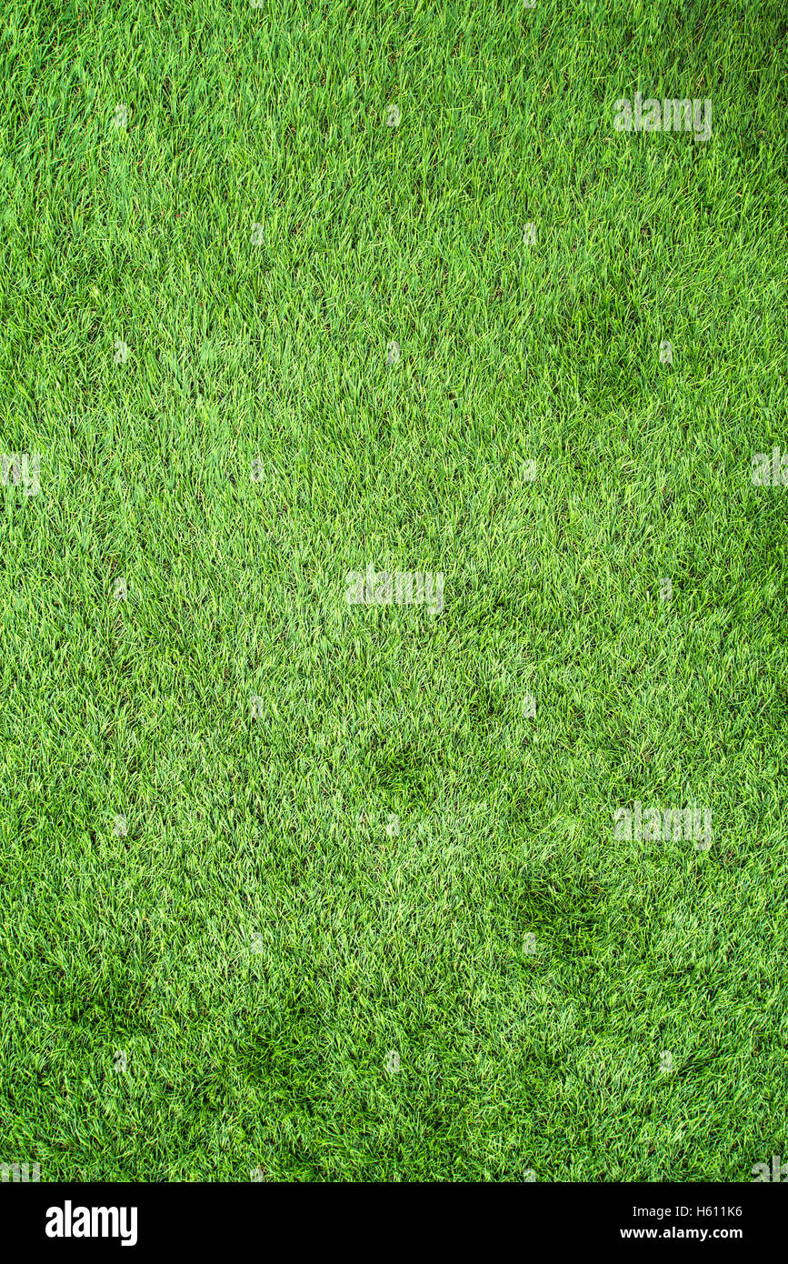 artificial green grass Stock Photo Alamy