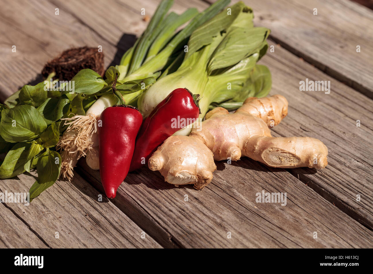 Organic basil spice, red jalapeno pepper, green Chinese bok choy, green onion and ginger on a rustic wood farm table. Stock Photo