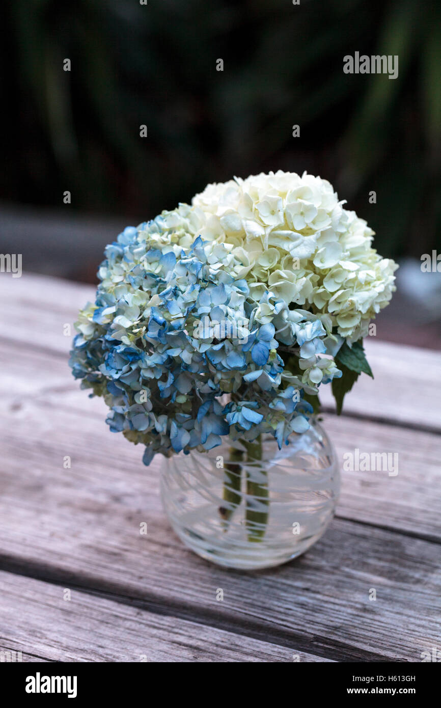 White and blue Hydrangea flowers in a glass vase on a rustic wood farm