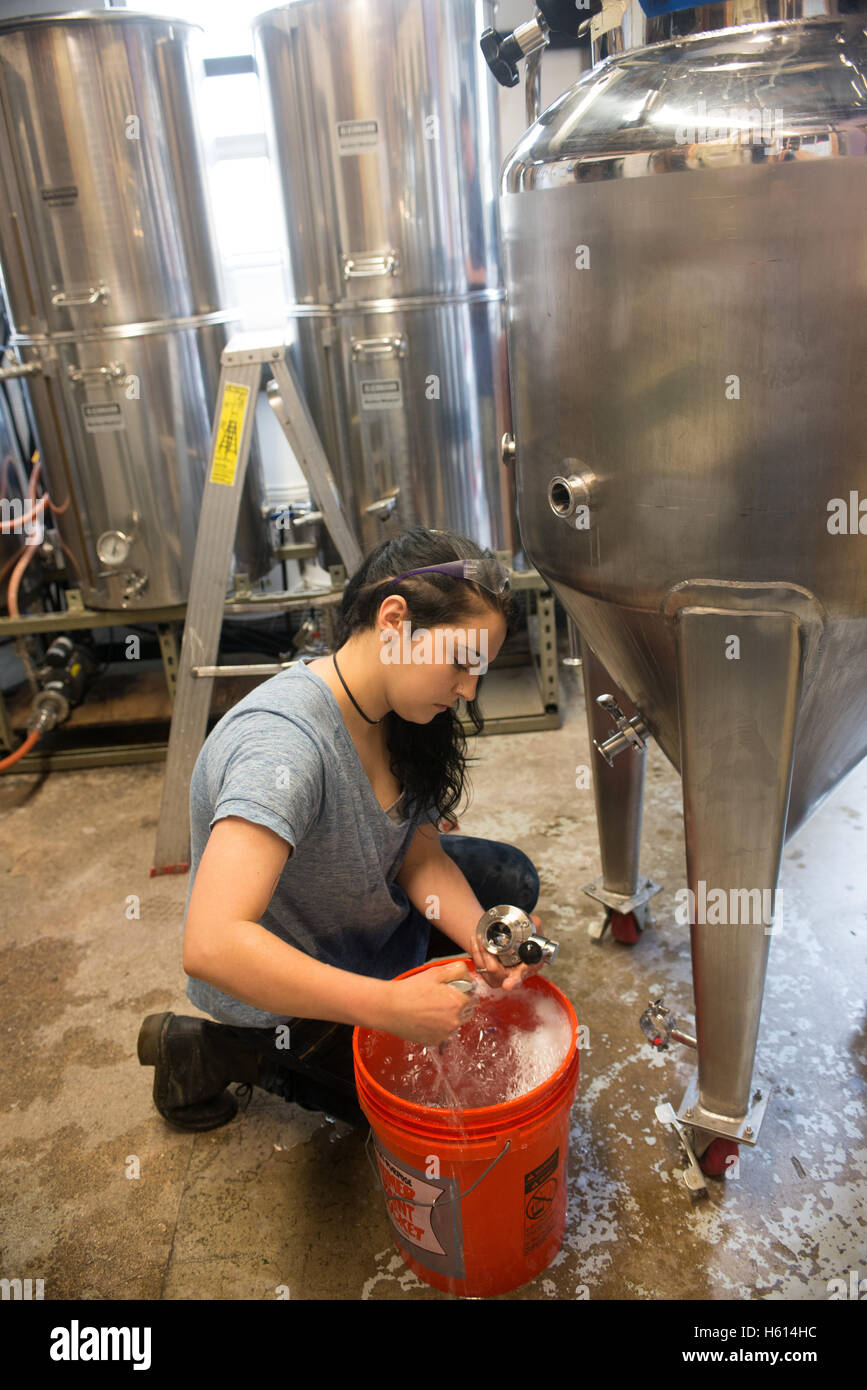 Woman Washing Beer Brewing Machine Stock Photo