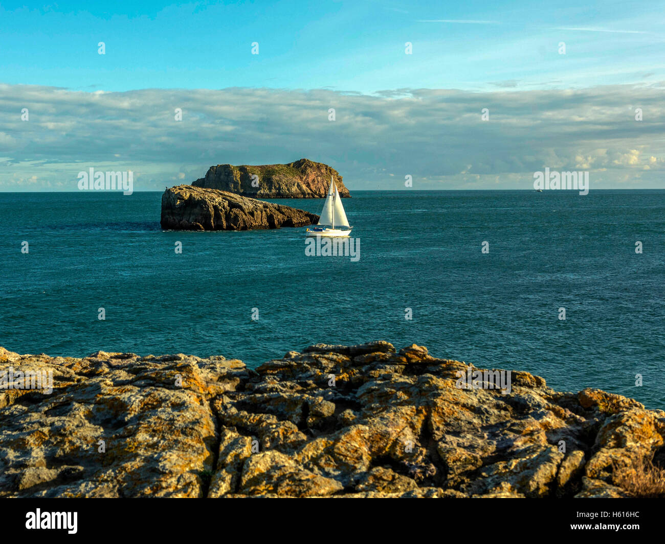 Beautiful Lyme Bay seascape depicting Hopes Nose coastal area and Orestone Rock near Torquay on a fine summers day, Devon, England Stock Photo