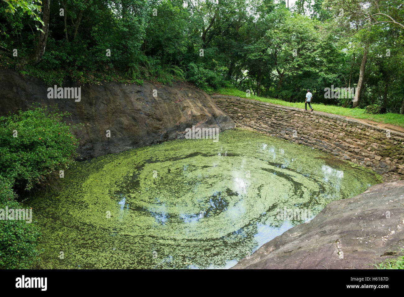 Dambadeniya Stock Photos Dambadeniya Stock Images Alamy - 