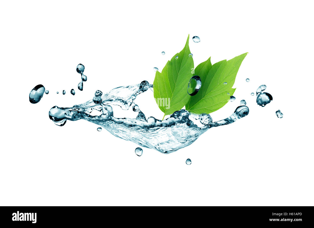 Ecology concept. Abstract composition with green leaves and splashing water Stock Photo